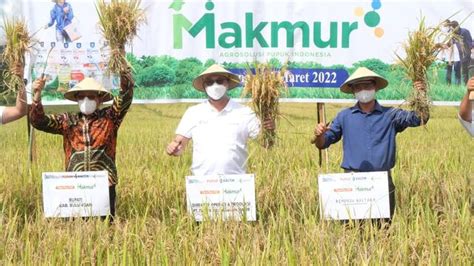 Program Makmur Pupuk Kaltim Berhasil Tingkatkan Produktivitas Petani