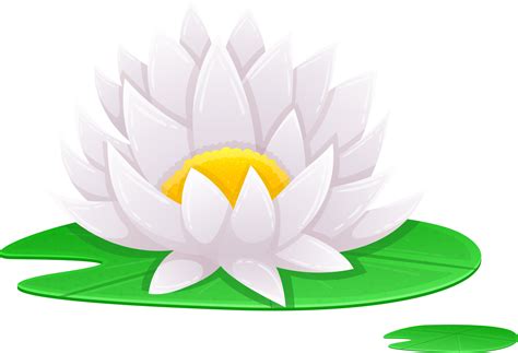 Water Lily Clipart 26749454 Png