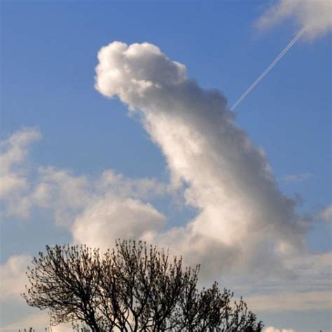 Sexy Huge Tits Fuck Cumshot Free Porn Video Xhamster