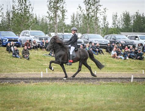 F Fimm Til Sex Fol Ld Ri Eidfaxi Is