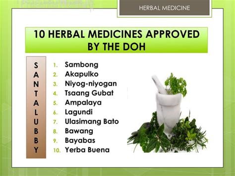 10 Doh Approved Herbal Medicine Ppt