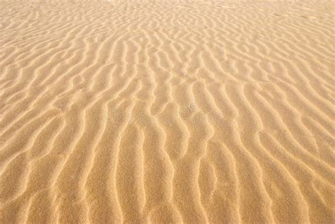 Asciughi La Sabbia Dorata Increspata, Ideale Per Gli Ambiti Di ...