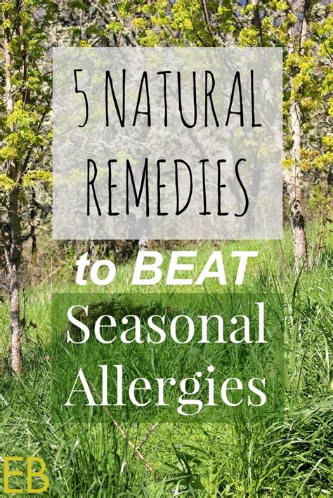 5 Natural Remedies To Beat Seasonal Allergies Seasonal Allergies Natural Remedies Natural