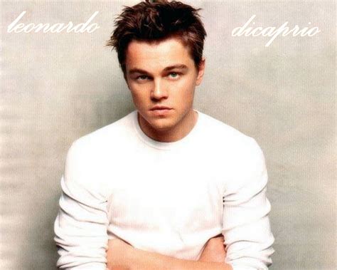 leonardo  leonardo dicaprio wallpaper  fanpop