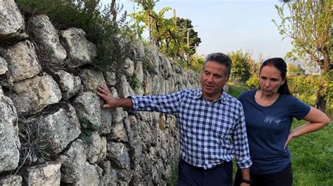 In vigna con Carlo Venturini: "Il nostro vino come espressione pura del ...