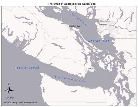 Map of the Salish Sea showing Departure Bay where the diel study was ...