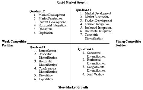 Travel Agency The Grand Strategy Matrix