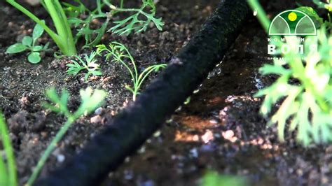 Капельный полив из микропористого шланга "Мокрёна". - YouTube