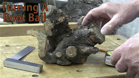 determine root ball  alma jones blog