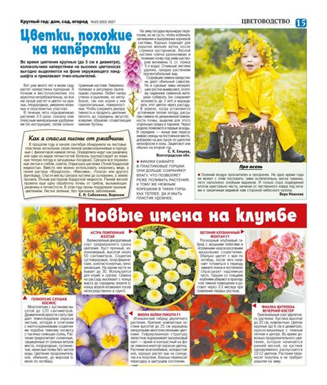 Круглый год: Дом, сад, огород №23 2021 журнал читать онлайн