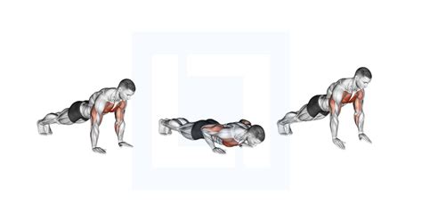 Plyo Push Up - Guide, Benefits, and Form
