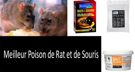 Meilleur Poison De Rat Et De Souris TOP 5 Le Rodenticide Le Plus Efficace