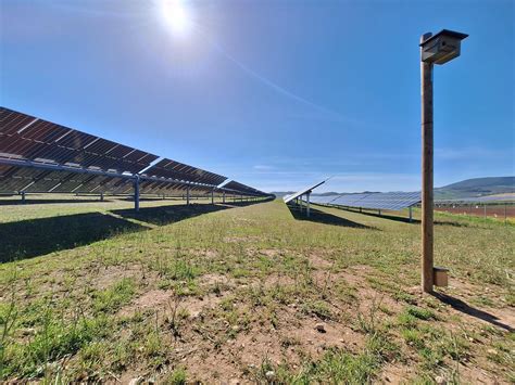 Endesa Instala Refugios Para Aves Quri Pteros E Insectos En