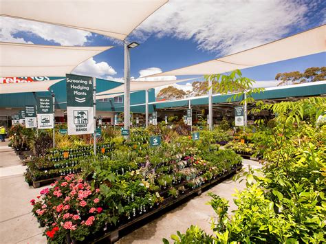 The Best Plant Shops And Nurseries In Melbourne