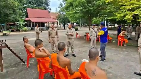 Kl Tze Mann Bei Sex Mit Pferd Gefilmt Polizei Jagt Tierqu Ler