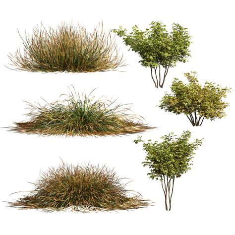 ArtStation - fall bush-6 different bush | Resources