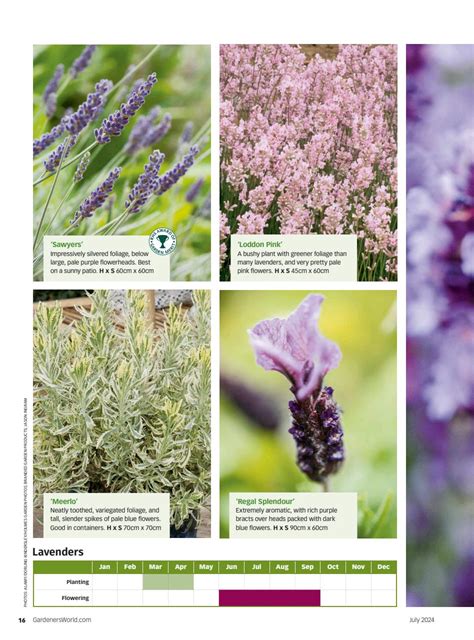 Bbc Gardeners World Magazine Subscriptions And July Issue