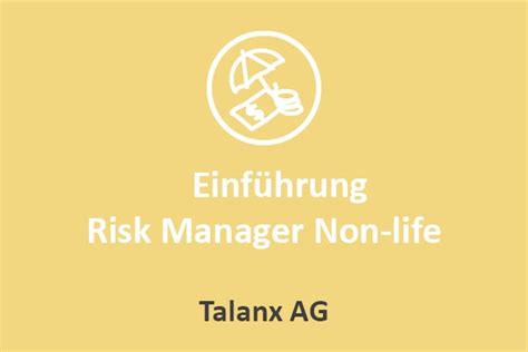 Einführung Risk Manager Non life Bitech AG SAP Beratung