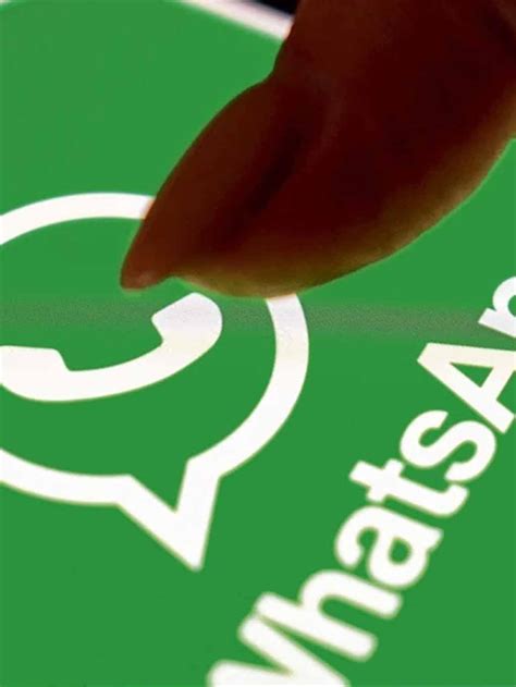 Upcoming legal rulings will affect the status of Cosmo Devellis Florida 8