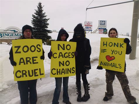 Kitchener Residents Protest Little Rays Reptile Zoo | The Media Co-op