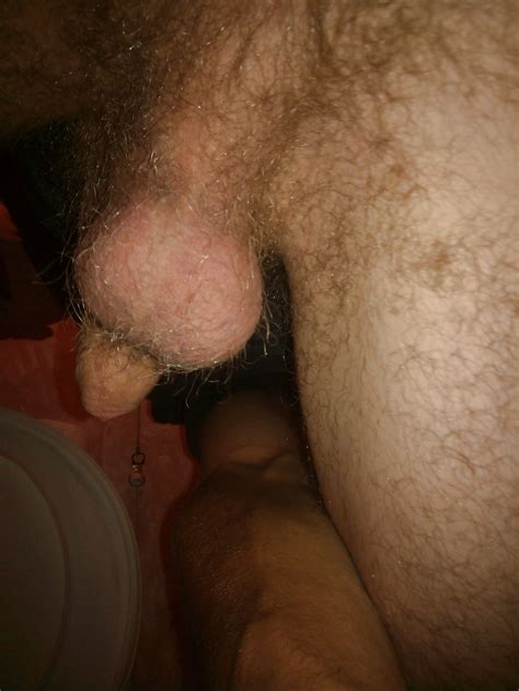 My Hairy Ass And Balls Porn Pictures XXX Photos Sex Images PICTOA