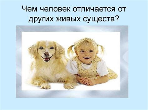 Назовите Отличия Человека От Животного - 63 фото