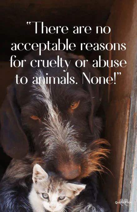 60 Powerful Animal Abuse Quotes To Help Stop Cruelty