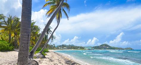 Best St Croix Beaches 2024 Ranked Reviews Photos Videos Live Cams