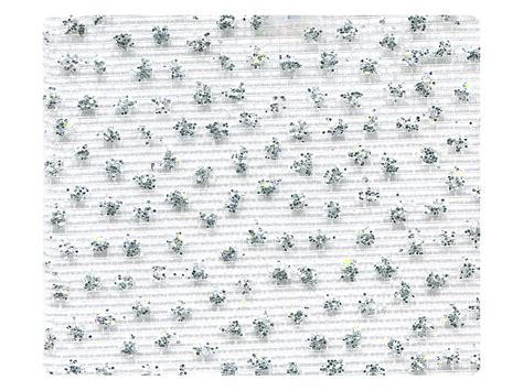 307 Whitesilver Glitter Mesh