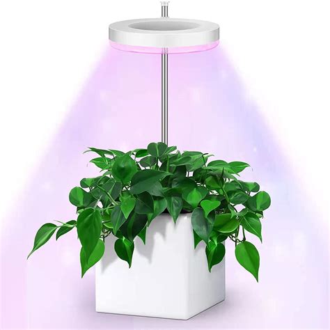 Grow Lights For Indoor Plants Full Spectrum Small Plant Lights Lamp