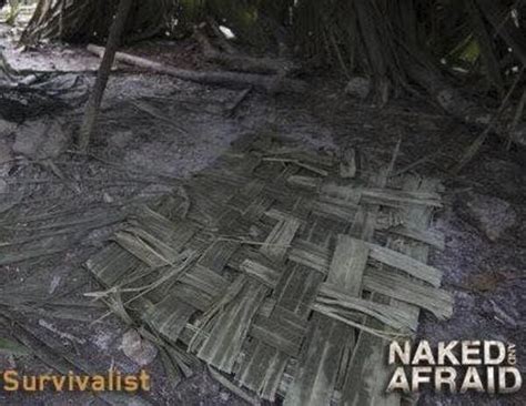 HEART OF THE BLUEGRASS Kentucky Native Competes On Naked And Afraid For Second Time