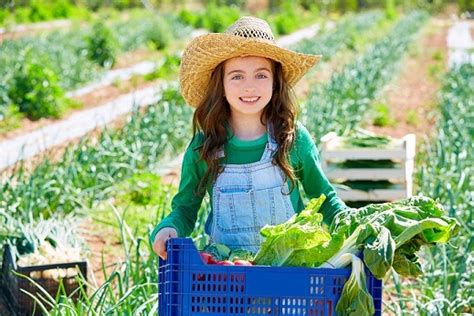 Huerto escolar características objetivos tipos y beneficios