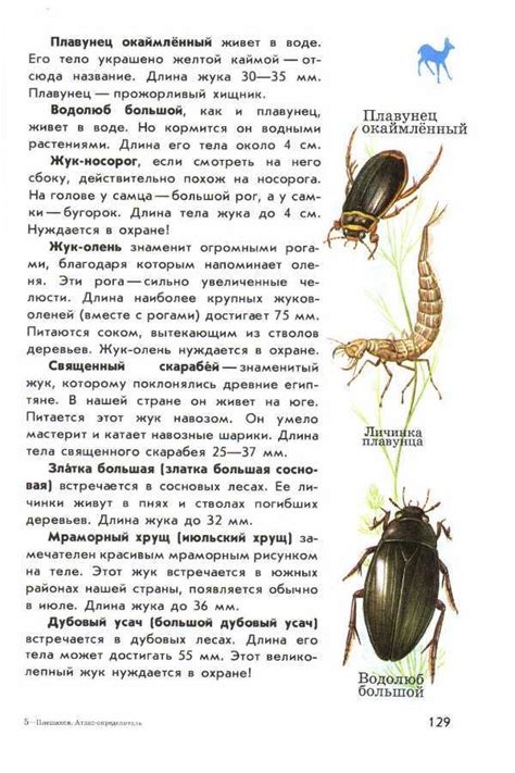Атлас определитель животных "От земли до неба" Плешаков. Насекомые ...