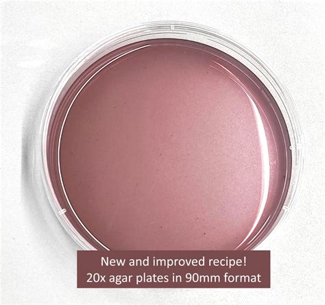 Pda Agar Plates V2 90mm X 20 Pcs For Fungimycelium Work Furniture