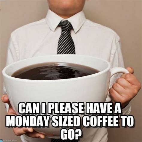 65 Funny Monday Memes Got Me Like