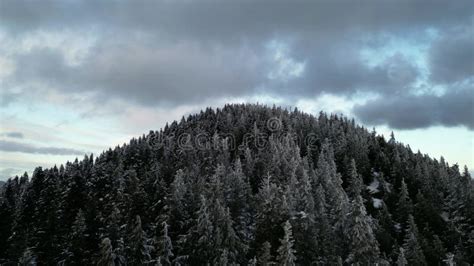 Scenic Mountain Peak With Trees And Snow Aerial Mountain Scene