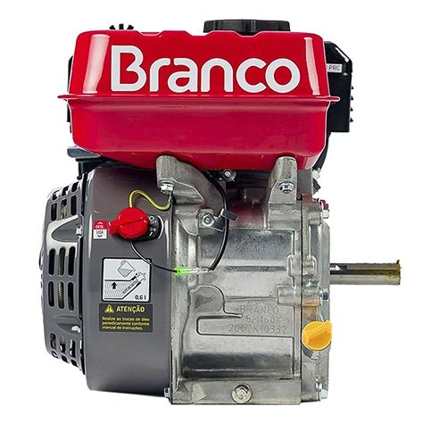 Motor Estacionário A Gasolina - Motor Estacionário a Gasolina 15HP - Branco (Partida Elétrica ...