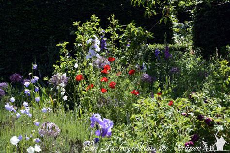 Manfred Lucenz Und Klaus Bender Zu Besuch In Ihrem Garten