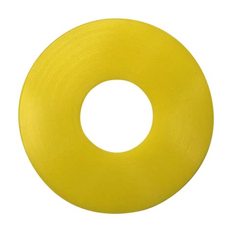 Uhmw Spacer Washer For Surface Conveyor Entrance Drum Sonnys