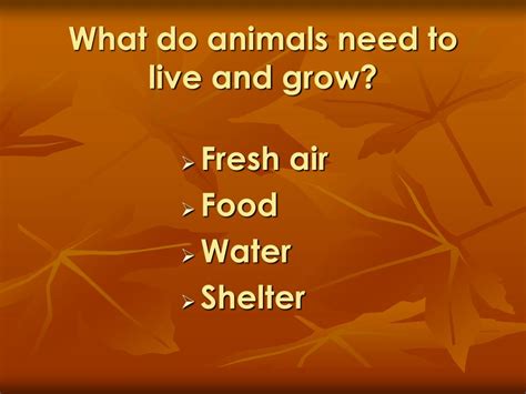 animals grow  change  denise carroll powerpoint