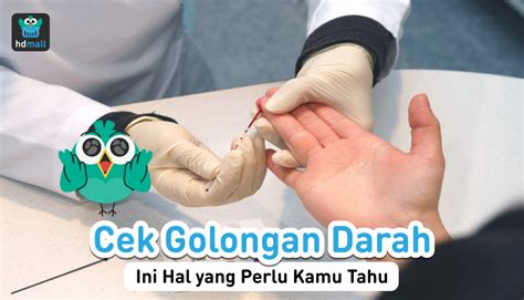 Cek Golongan Darah Ini Hal Penting Yang Perlu Kamu Tahu HDmall