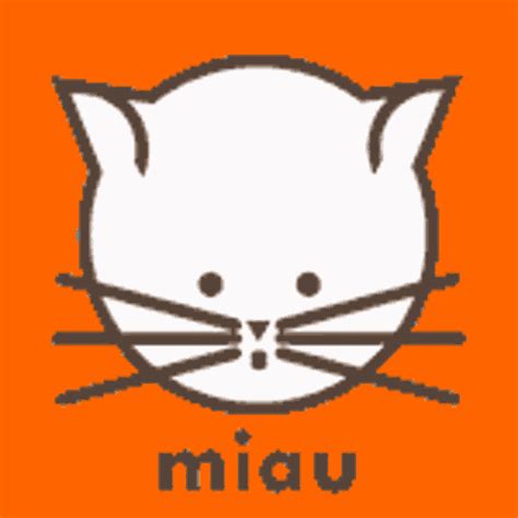 Gatito Miau Gatito Miau Cat Discover Share GIFs