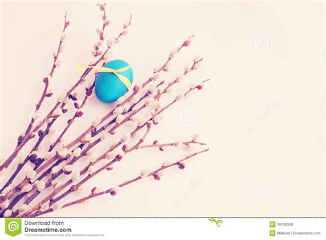 Pussy Willow And Egg Stock Photo Image Of Culture Green