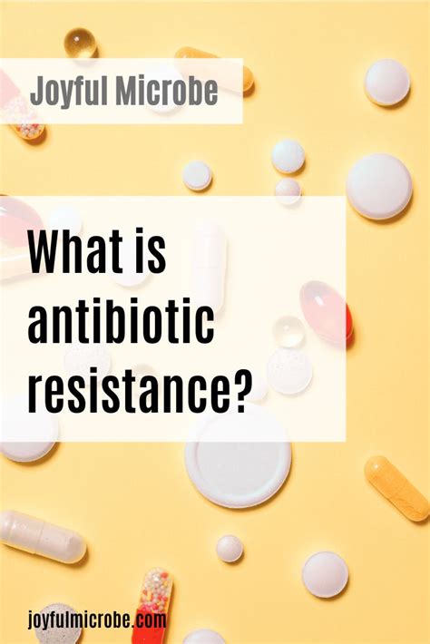antibiotic resistance antibiotic antimicrobial resistance