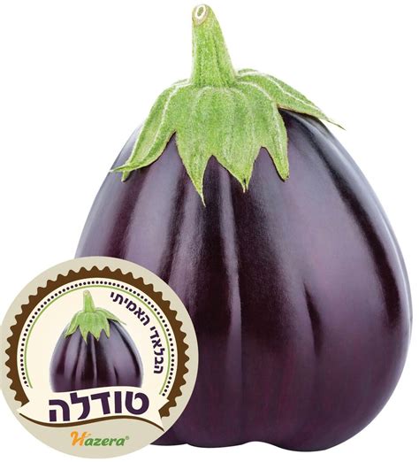 Тудела F1 - Russia