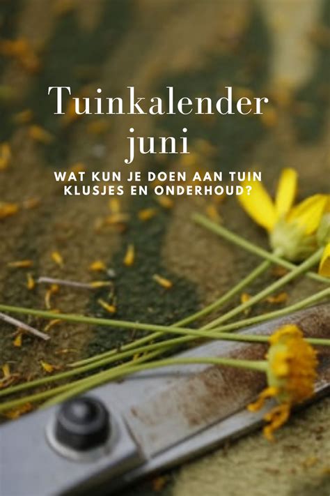 Tuinkalender Juni Tips Voor Wat Je Kan Doen In De Tuin Artofit