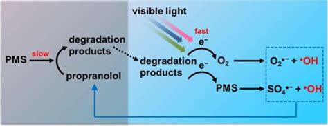用过氧单硫酸盐作为氧化剂和自由基前体的可见光诱导普萘洛尔降解separation And Purification Technology