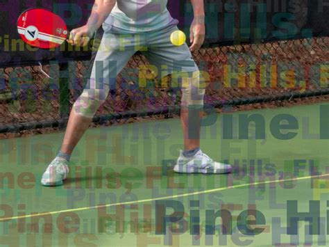 Pickleball In Pine Hills Florida