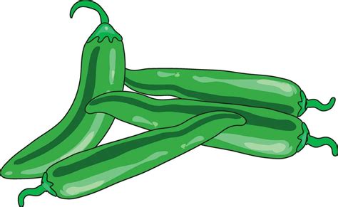 Green Chillies Vector Illustration 36148383 Vector Art At Vecteezy