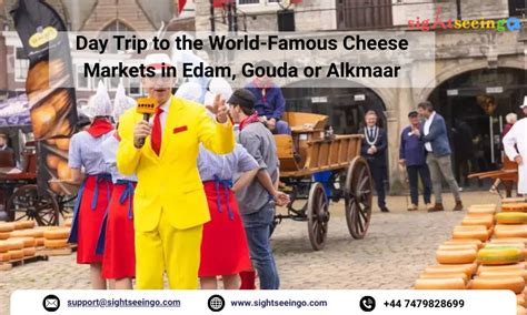 discover  edam cheese market  dutch tradition   life